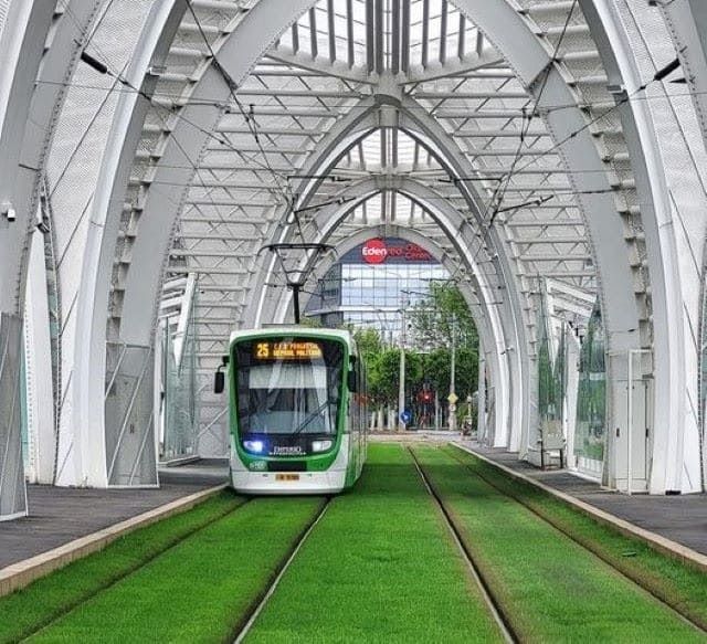 Tram%20(1).jpg