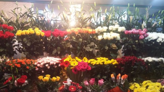 [Bild von Flower Experts]