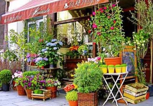 [Bild von AVA Gardens]
